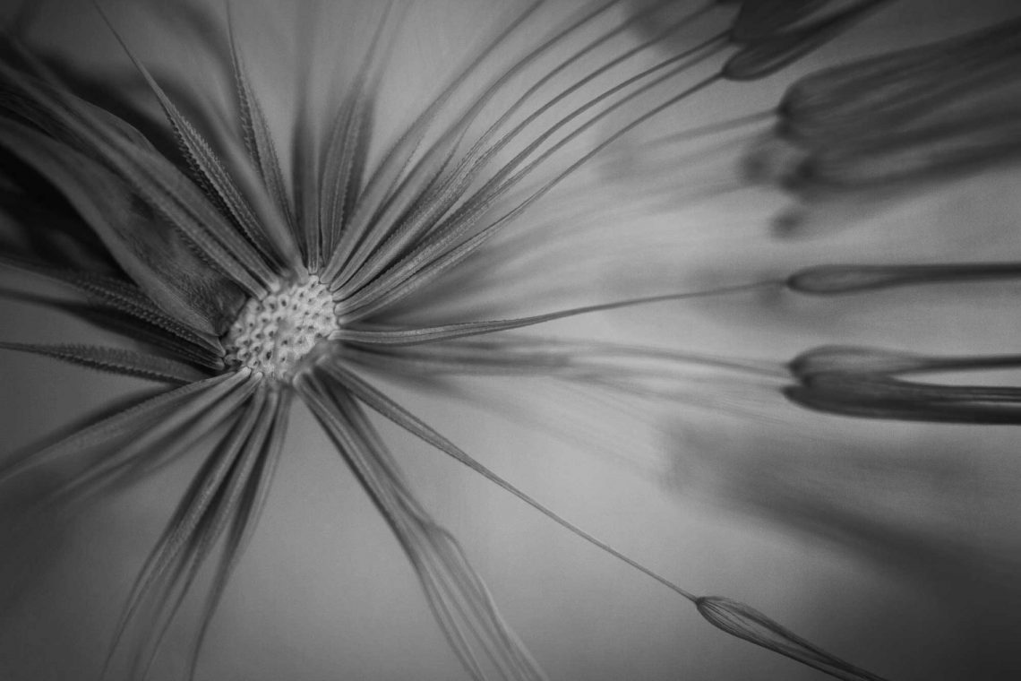 TEJAS YOGA tejas-background-1